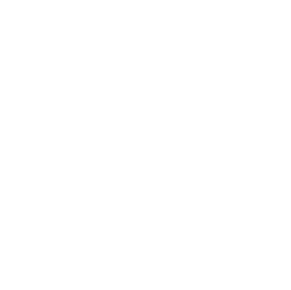 White logo of a geometrical sphere